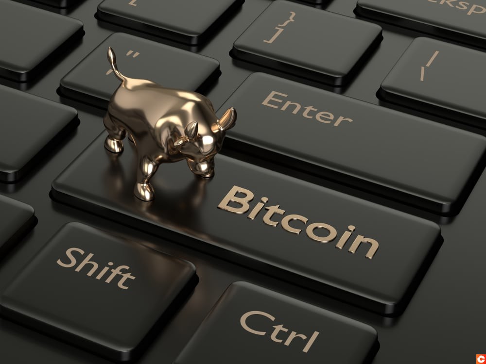 Cette fois-ci, le bull run de Bitcoin pourrait se faire désirer (Bitmain)