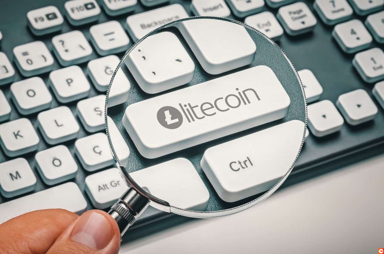 Avis sur Litecoin (LTC), le Célèbre Dauphin du Roi Bitcoin ?