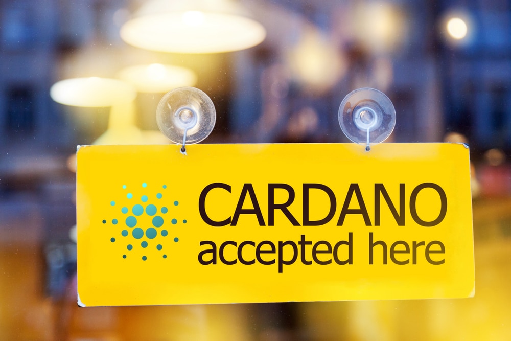 Histoire, potentiel, achat...Découvrir la cryptomonnaie Cardano (ADA)