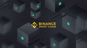 Cryptomonnaie Binance (BNB) : La valeur de BSC en chute libre