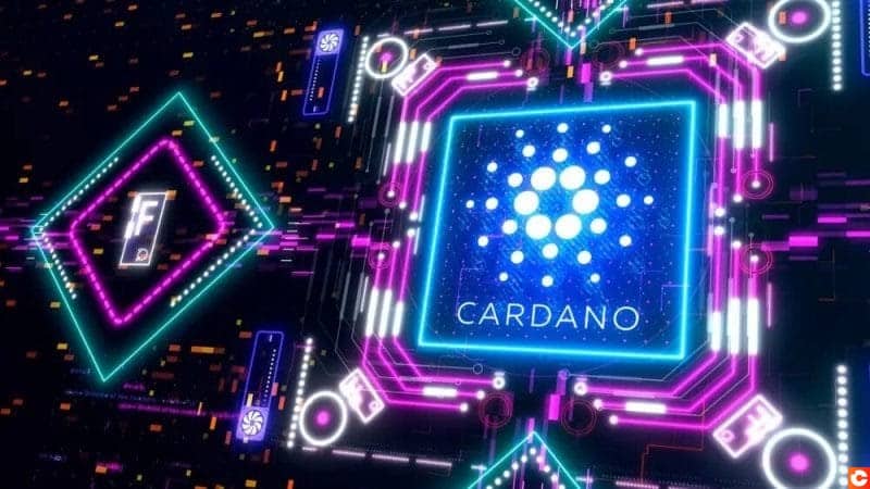 Cardano Wallets: Choosing The Best Wallets For Your Cardano (ADA)