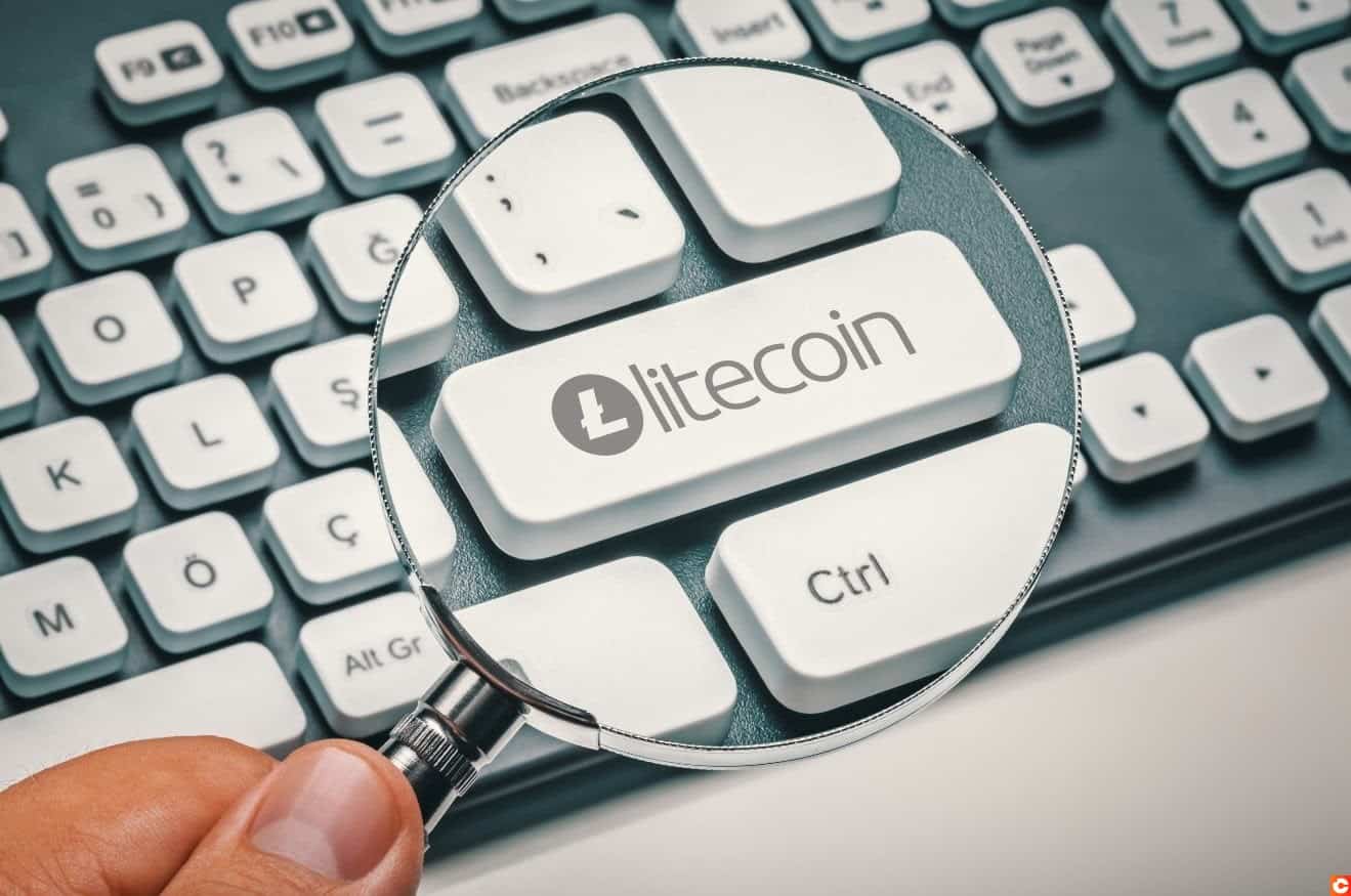 Full Litecoin (LTC) Review: A Worthy Prince For King Bitcoin (BTC)?