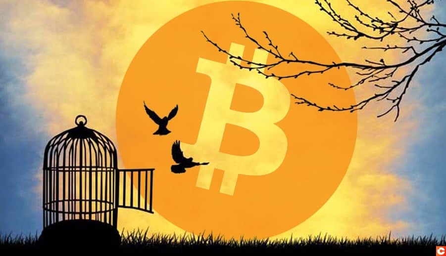 Binance Blockchain Week : La place du bitcoin dans les pays émergents