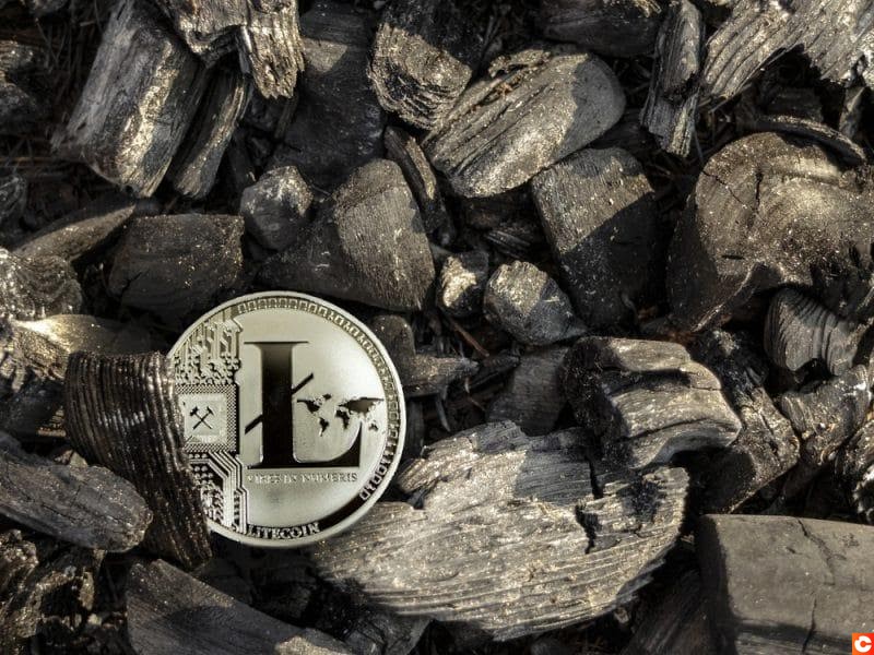 ¿Bitcoin le Parece Inaccesible? Guía para Minar Litecoin