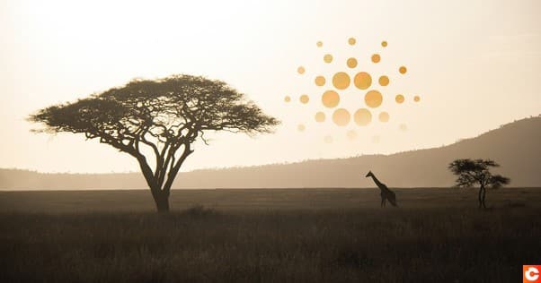 Cardano (ADA) and 'Blockchain for Good' winning over Africa
