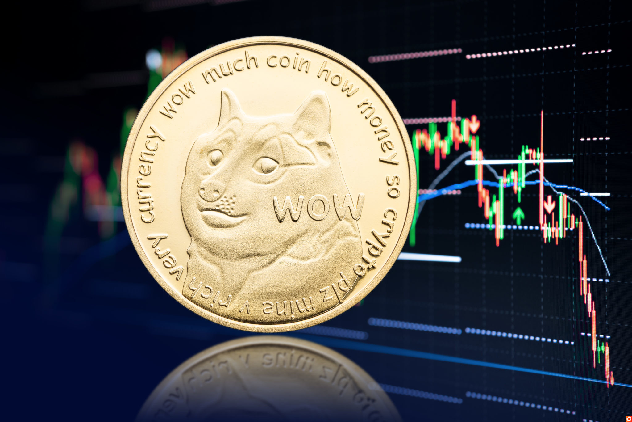 Musk has worked with Dogecoin (DOGE) since 2019
