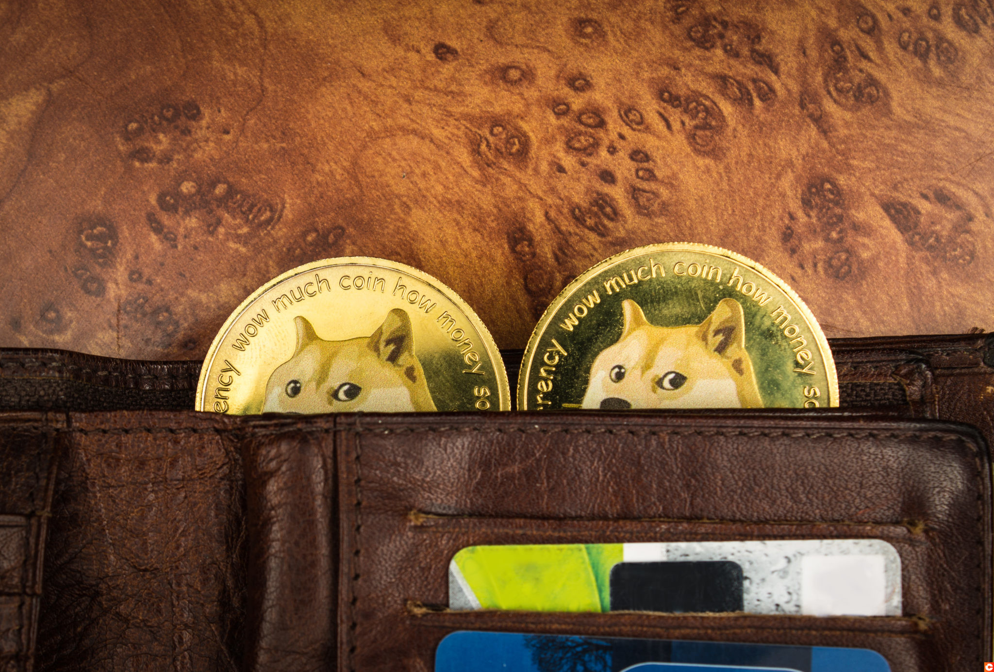 Elon Musk: the Dogecoin (DOGE) market maker