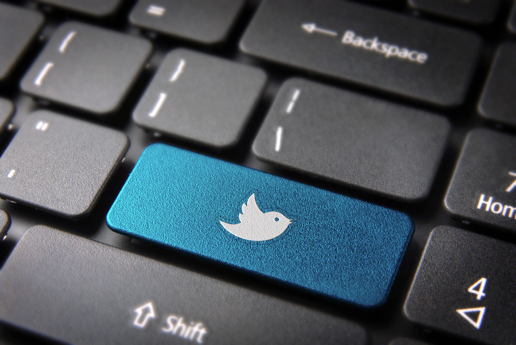 Blue keyboard twitter bird key, social networks background