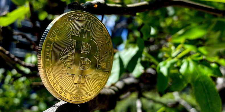 Accelerate Financial Technologies to plant trees for each major Bitcoin (BTC) ETF investment