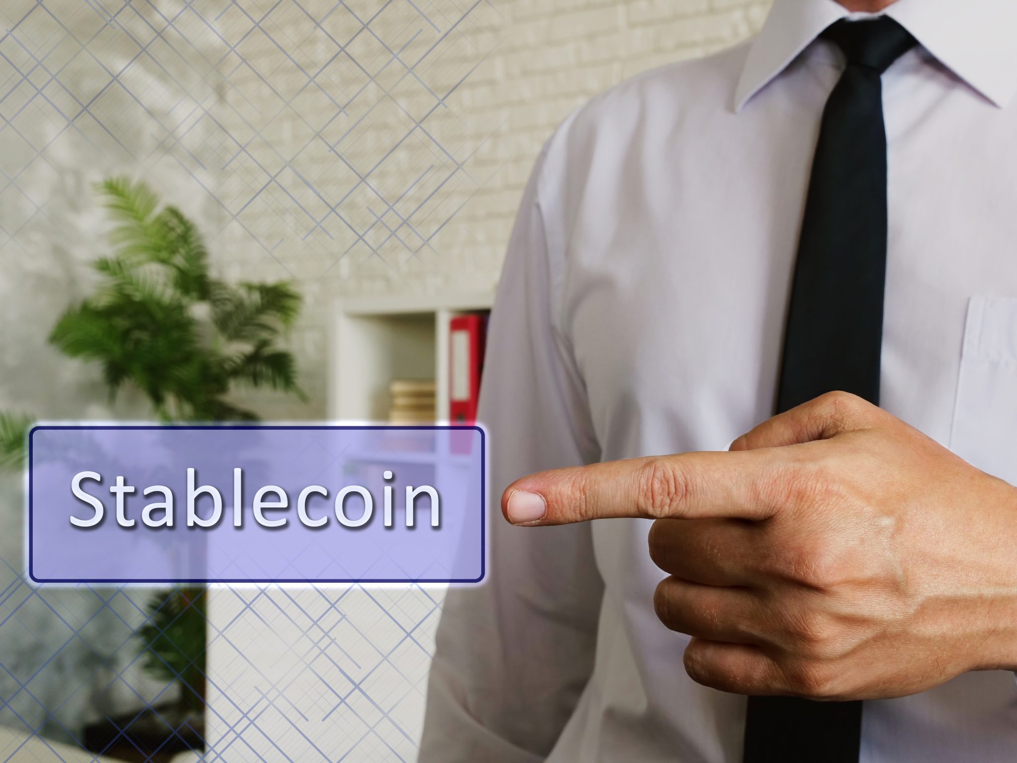 Un homme pointant du doigt le mot « stablecoin »