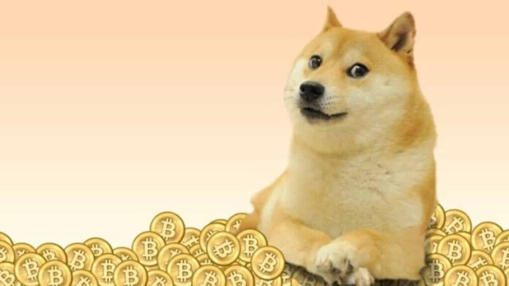 Крипта doge купить биткоин и эфириум кошелек