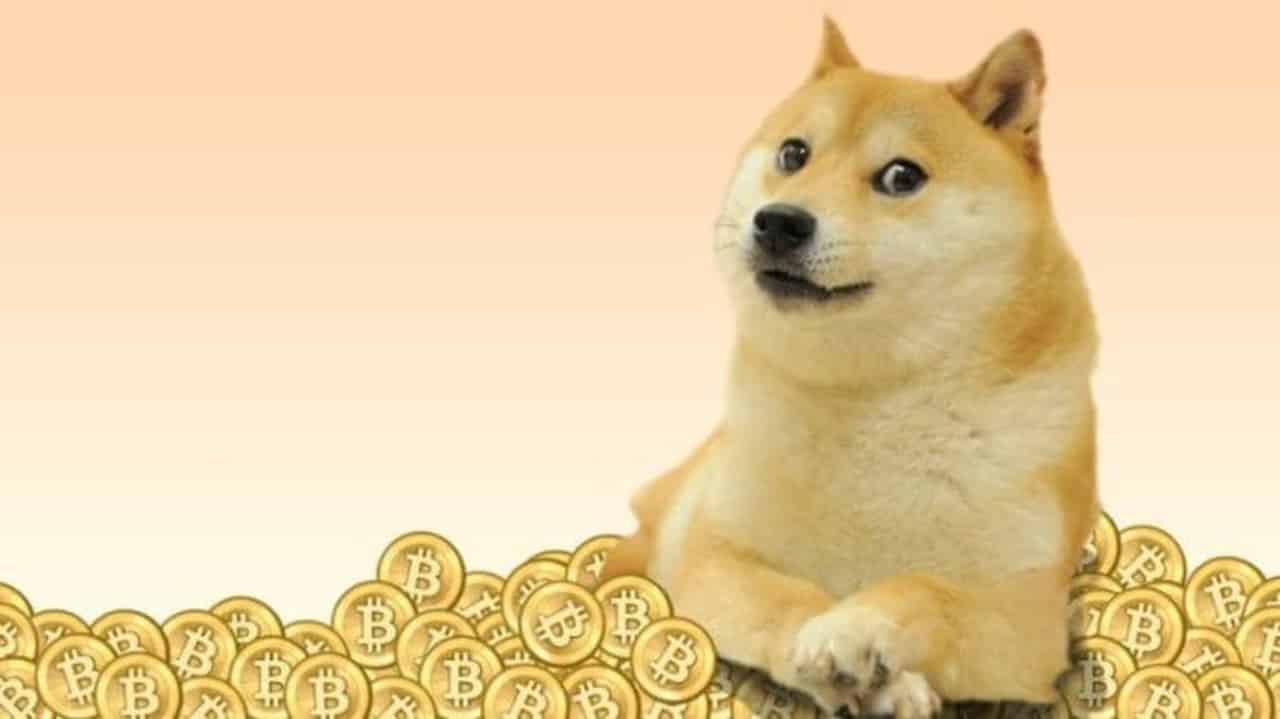 Une baleine Dogecoin (DOGE) déplace 973 010 200 dollars en crypto