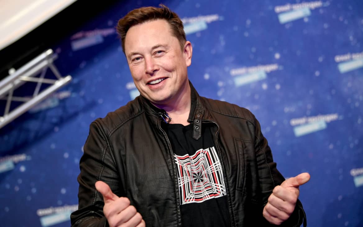 Elon Musk felicita al hámster Goxx por ganar en rentabilidad a S&P 500, Berkshire Hathaway y ARK Invest