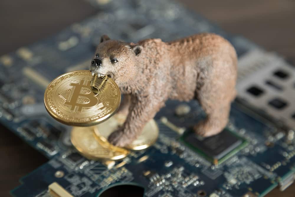 bear market cryptomonnaies