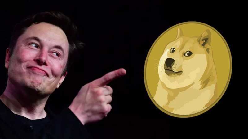 Le Dogecoin (DOGE) s'effondre de 92 % depuis l'ATH boosté par Elon Musk