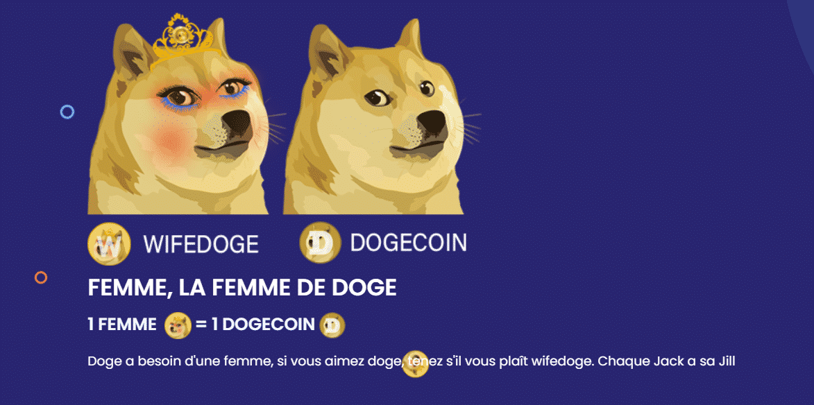Et Wifedoge, ‘’l’épouse’’ du Dogecoin (DOGE) fit une entrée retentissante…