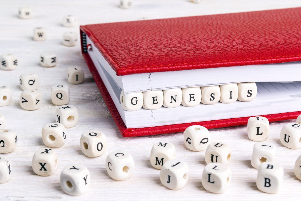 Word Genesis written in wooden blocks in red notebook on white wooden table. Wooden abc.