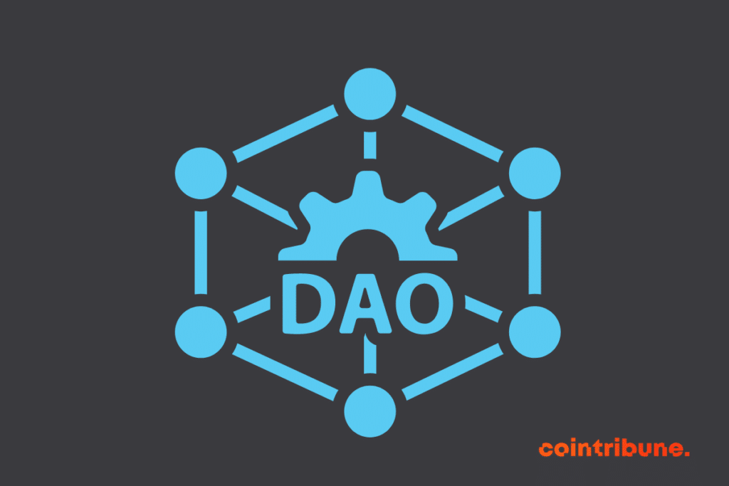 DAO representation