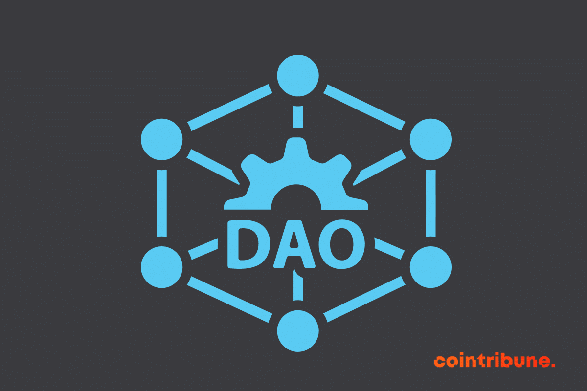 DAO representation