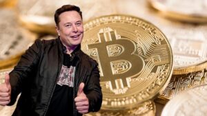 Crypto : 200 millions de nouveaux utilisateurs attendus grâce à Elon Musk ?