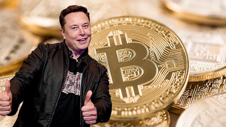 Elon Musk, Crypto, Adoption, Twitter