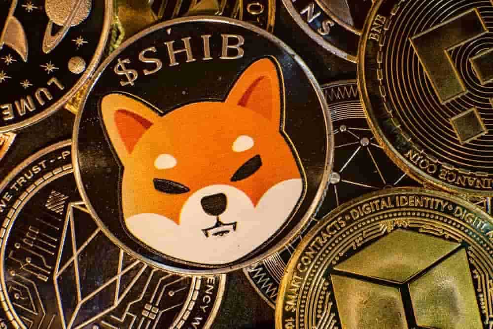 shiba inu, shib, crypto