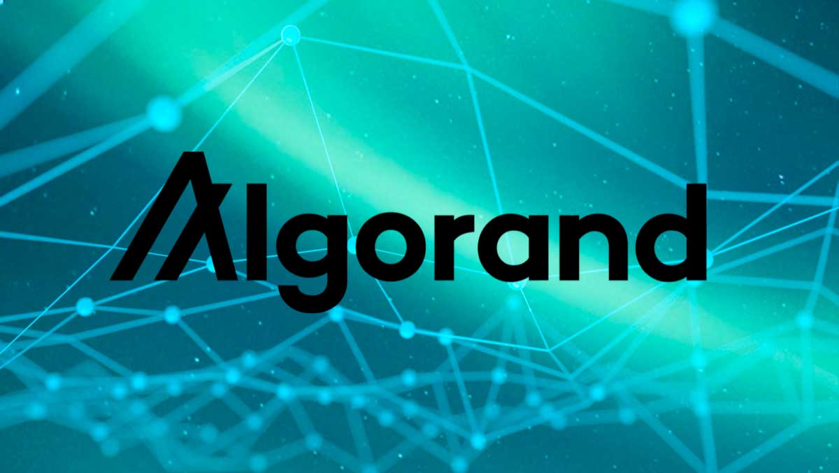 Algorand, ALGO, blockchain, Whatsapp