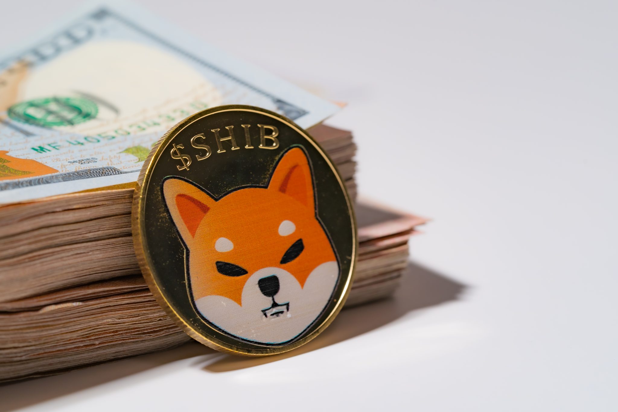 Shiba coin included with Cryptocurrency coin on stack 100 hundred new US dollar Money American Virtual blockchain technology future is money concept Close up and Macro on white background.