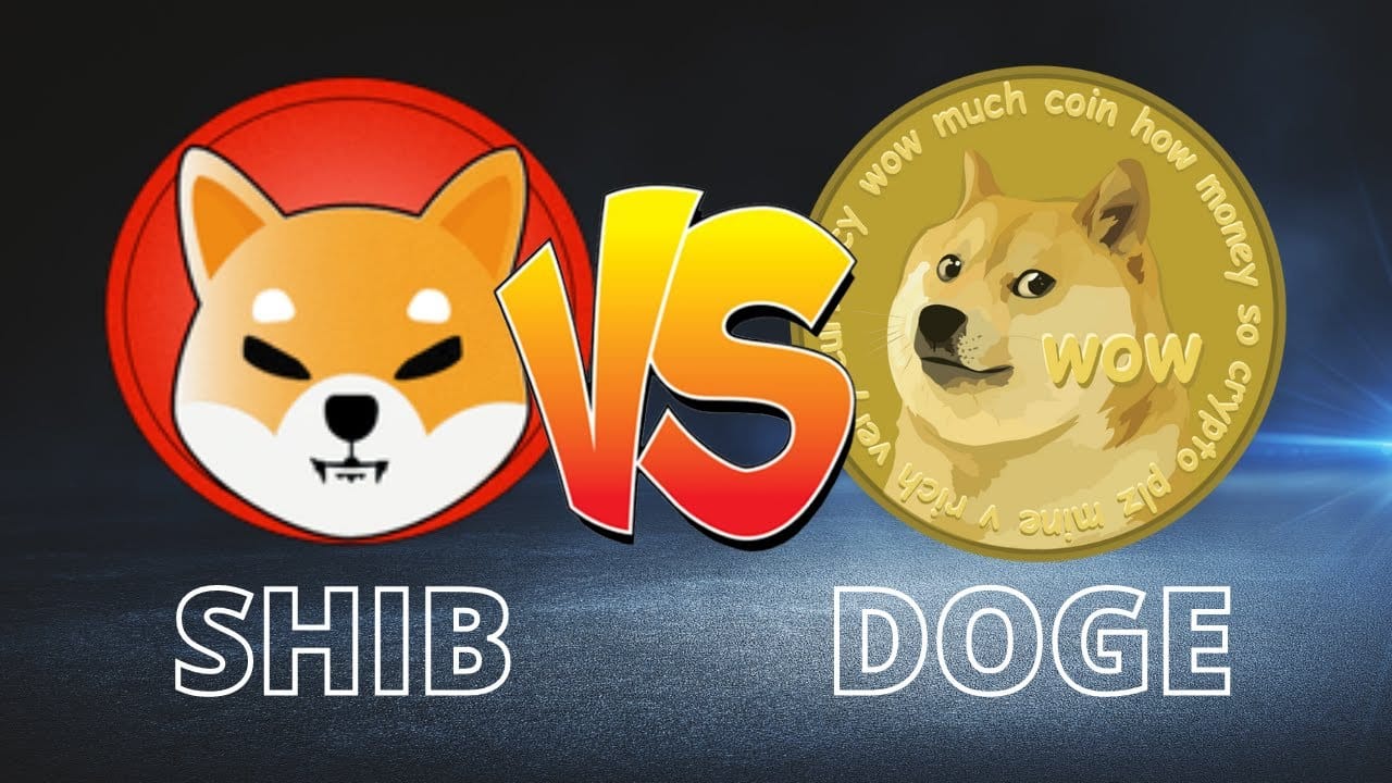 dogecoin vs shiba