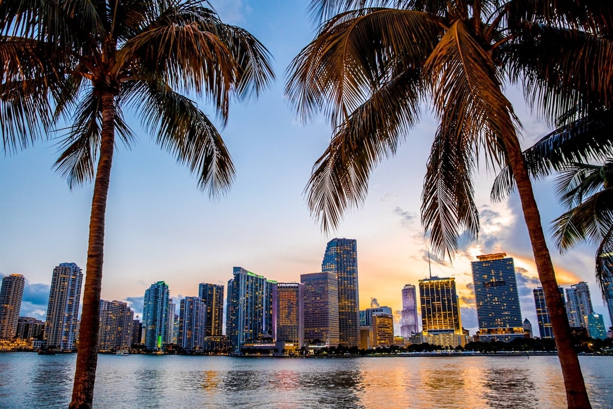 Miami Coin's success brings free Bitcoin (BTC) to Miami residents