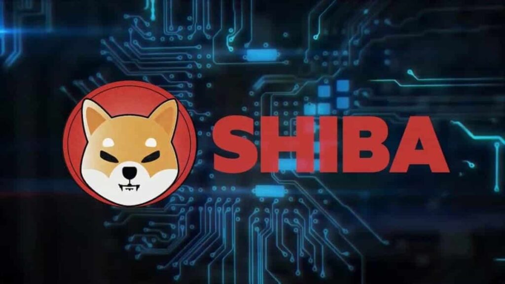 Shiba Inu ranks second in popularity after Bitcoin