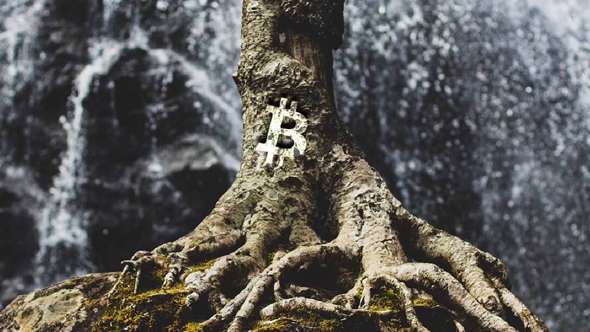 Bitcoin (BTC) : Sa dernière mise à jour Taproot maintenant disponible !