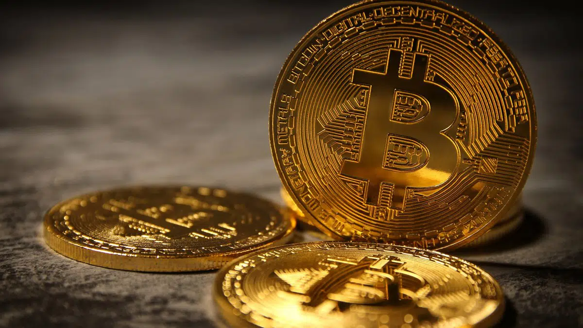 ARK Invest-CEO Cathie Wood: Bitcoin (BTC) könnte auf 500.000 Dollar ansteigen