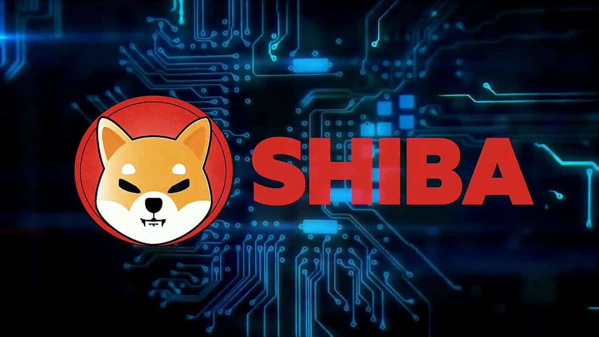 Shiba Inu wird bei VR World als Zahlungsmittel eingesetzt