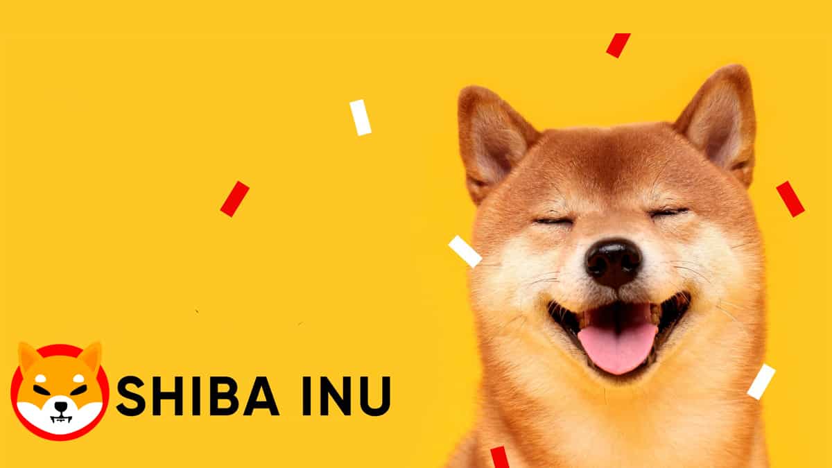 La cryptomonnaie Shiba Inu (SHIB) pourrait bientôt connaître une hausse de 24 %