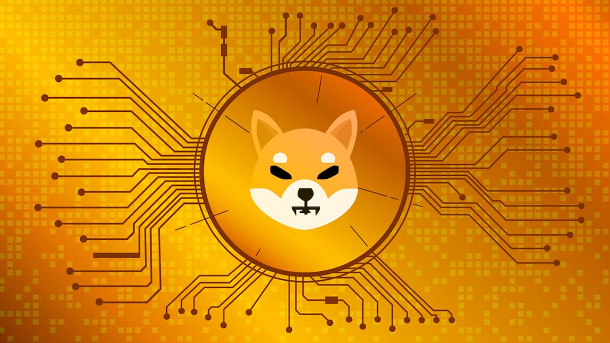 Le portail SHIB Burning : Pourquoi brûler des tokens ?