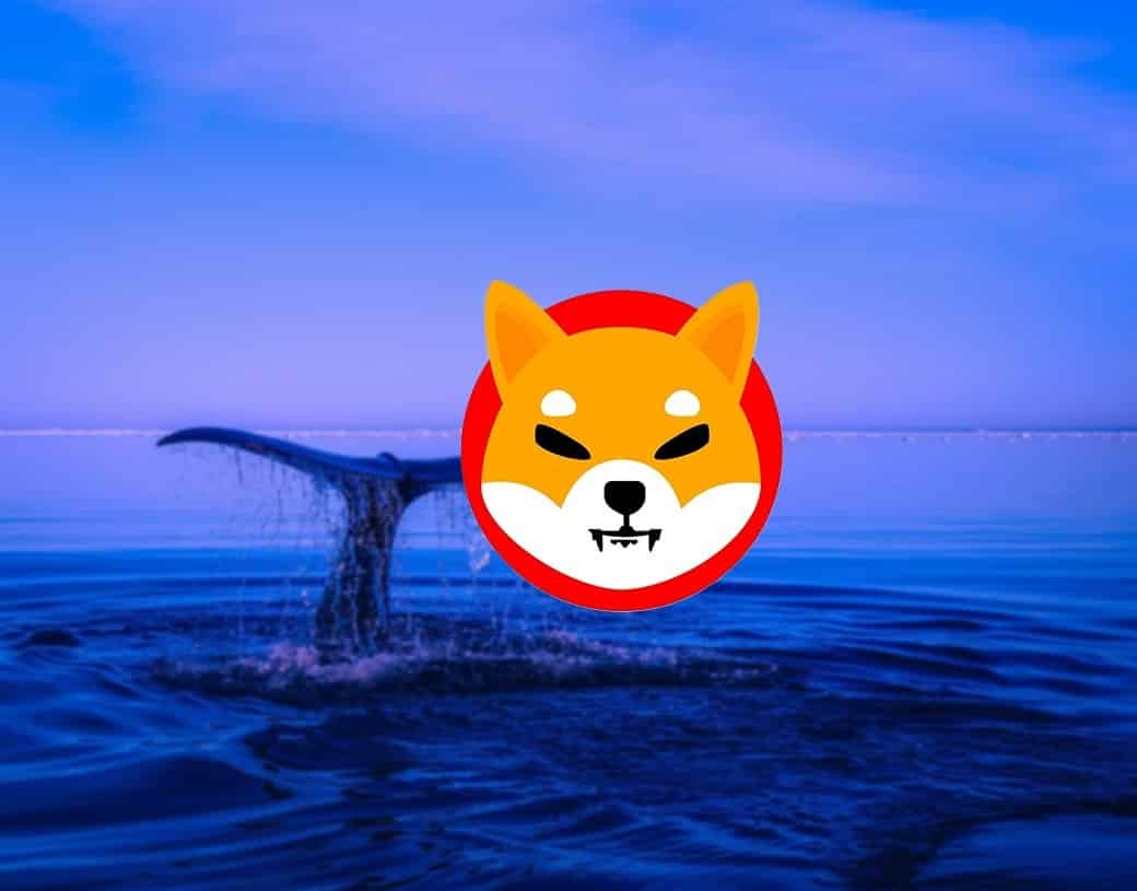 Unknown whale buys 100B SHIB coins