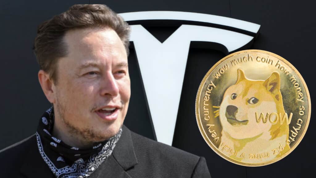 Tesla Musk Dogecoin Bitcoin
