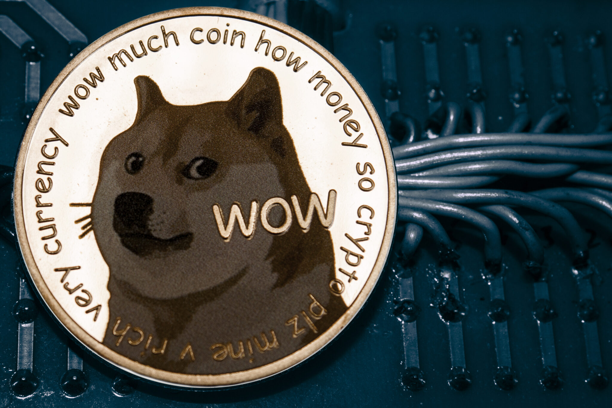 Coin cryptocurrency doge on the background of wires and circuits.