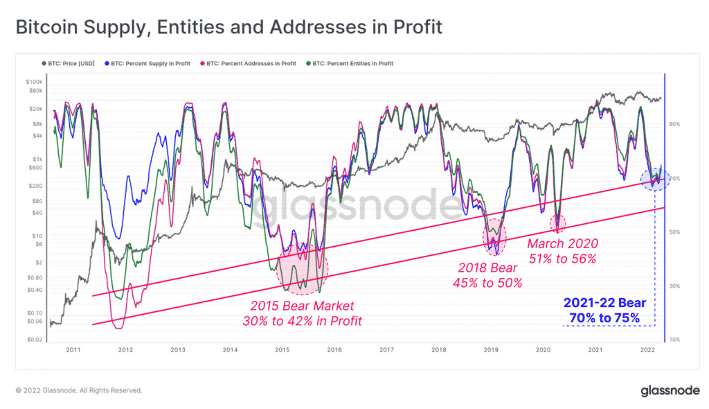 Bitcoin supply, entities and addresses in profit