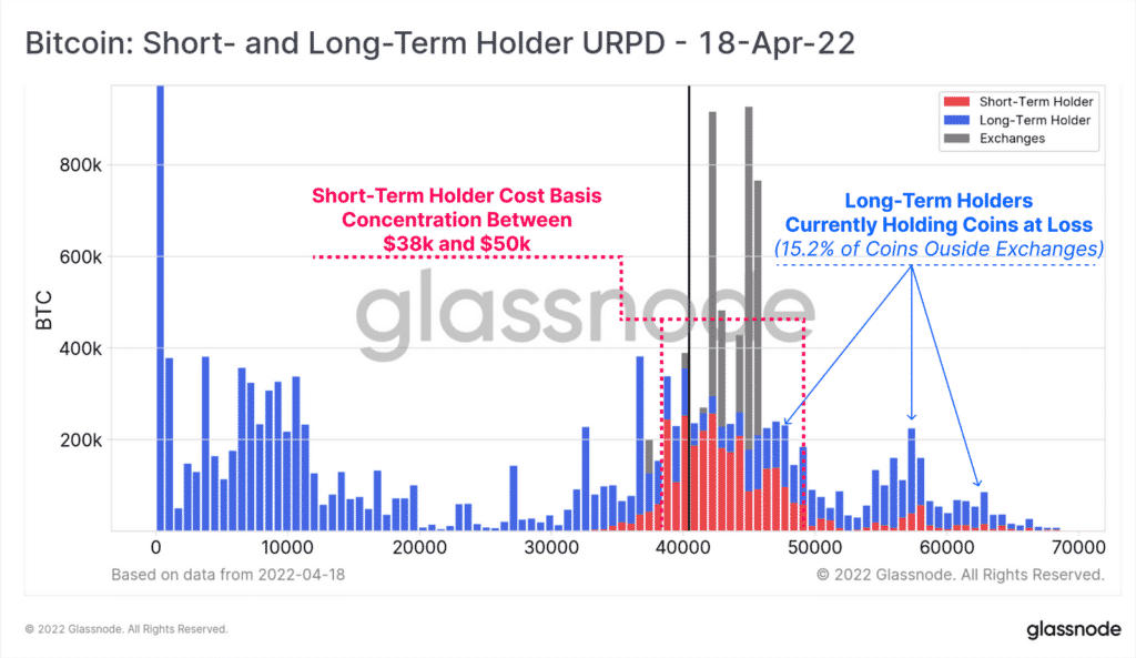 Bitcoin : Short and long term holder