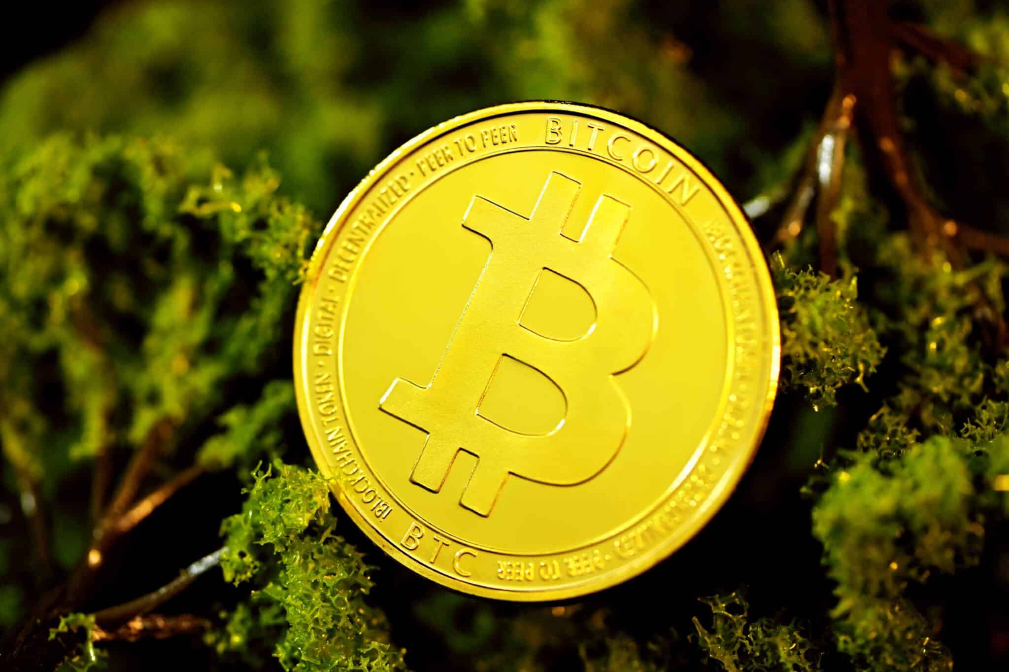 green bitcoin