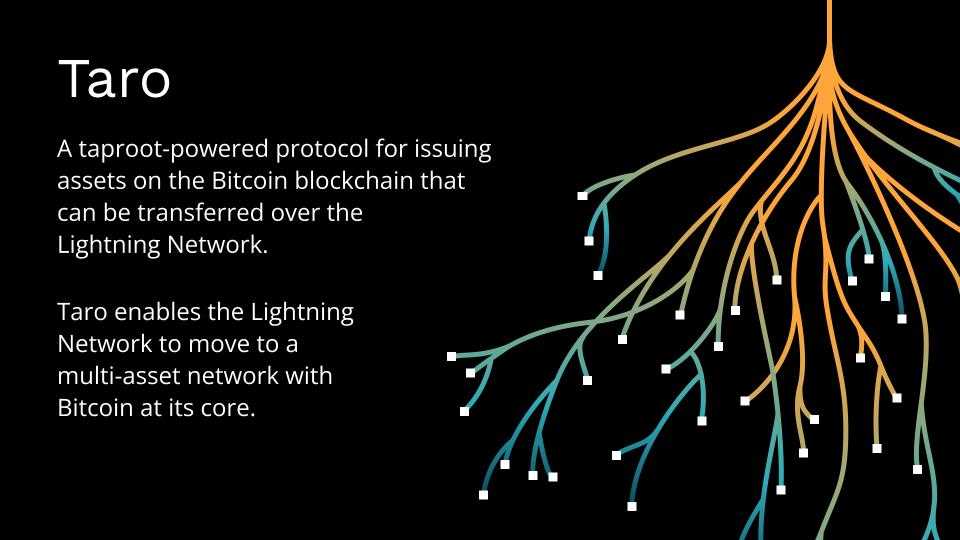 Taro Lightning Network Labs 