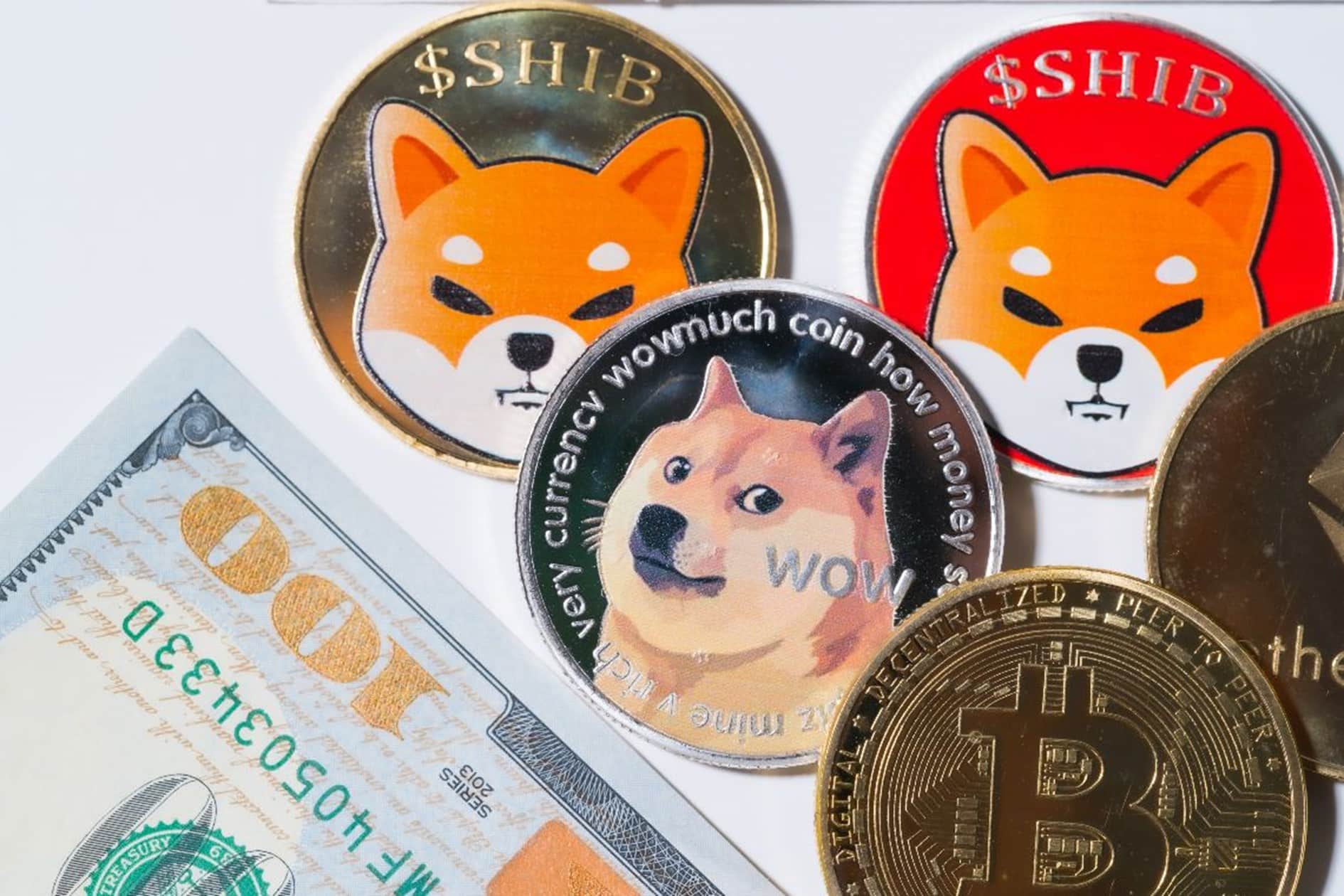 Google trends : Bitcoin (BTC), Shiba Inu (SHIB) et Dogecoin (DOGE) sont les cryptos les plus populaires d’Europe