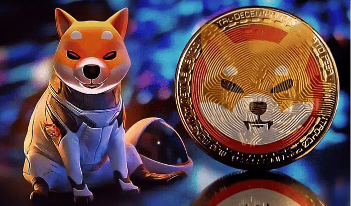 nouveaux-investisseurs-shiba-inu