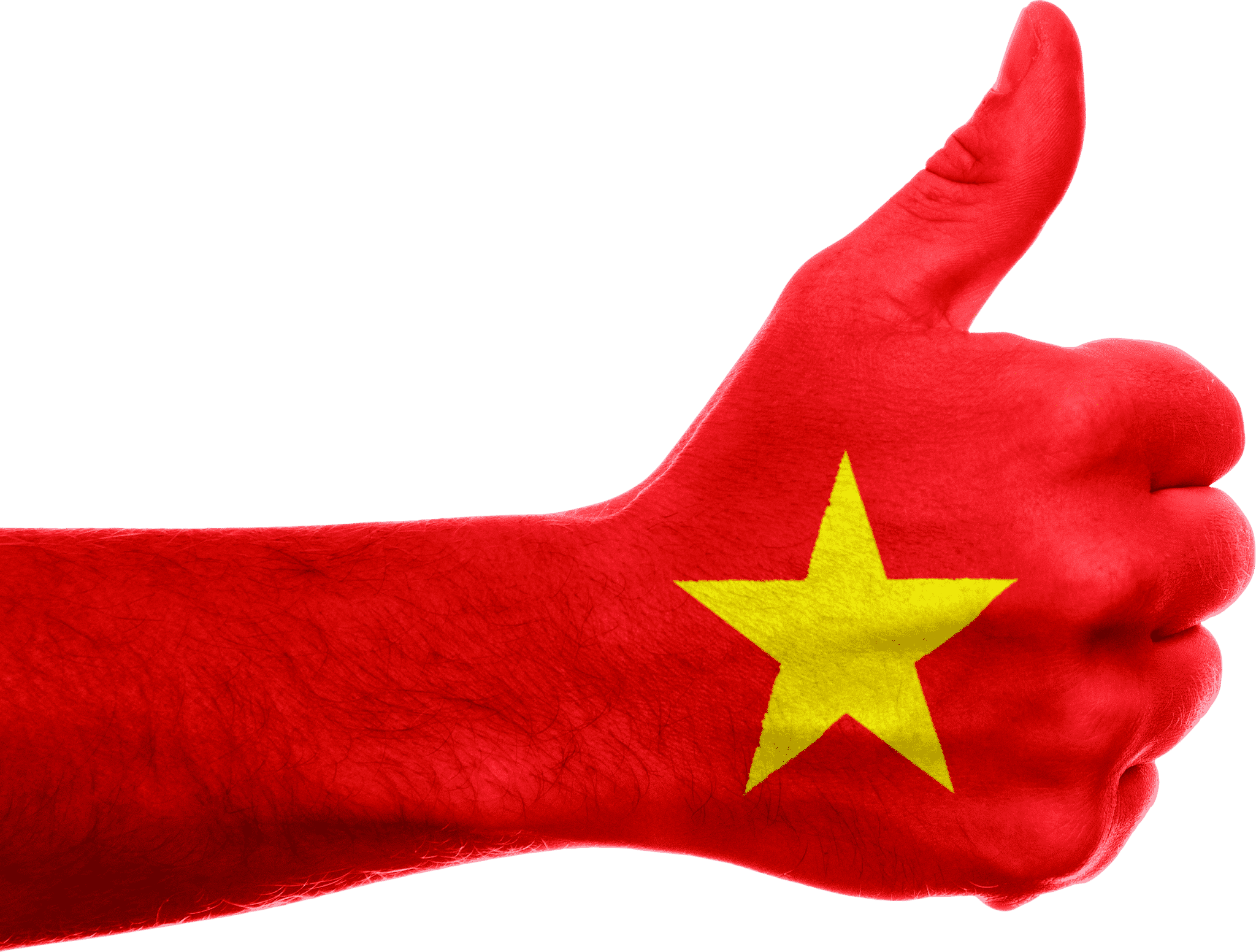 vietnam, flag, hand