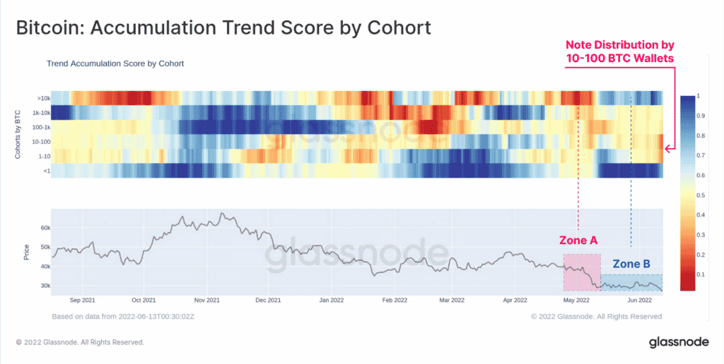 Bitcoin : accumulation trend score by cohort