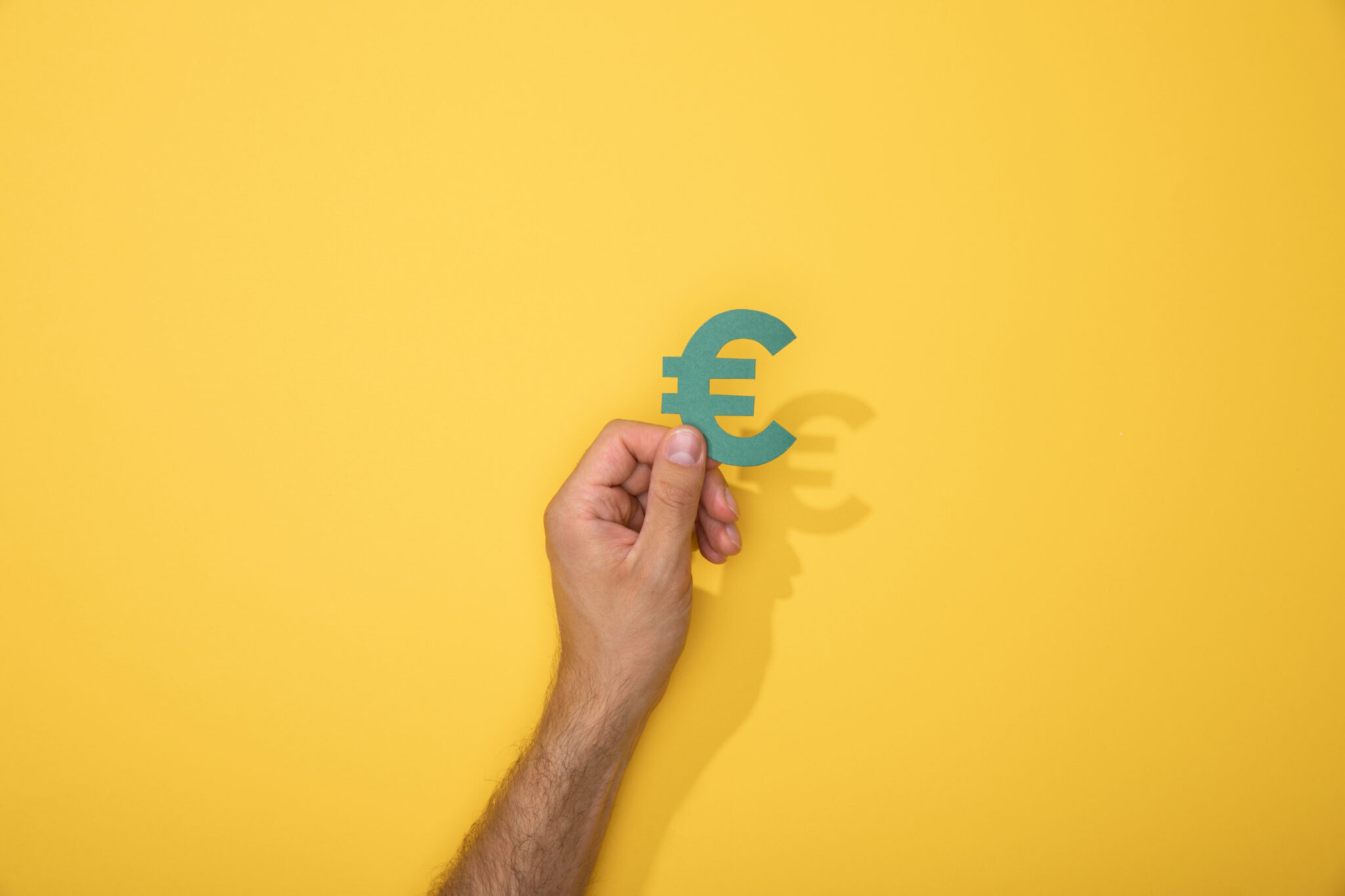 cropped view of man holding green euro currency sign on yellow