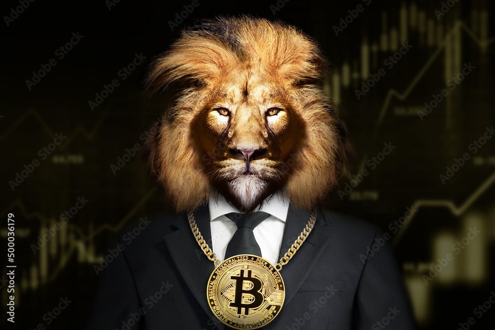 Grayscale shot of a suited lion with a bitcoin coin necklace and finance graph background