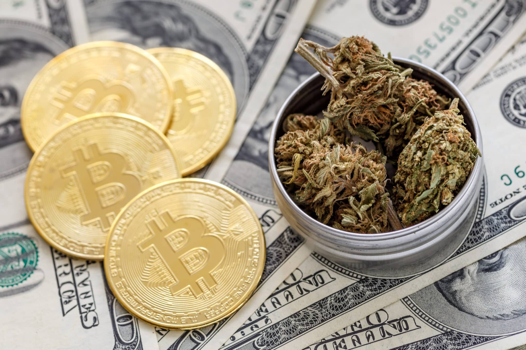 weed bitcoin marijuana business